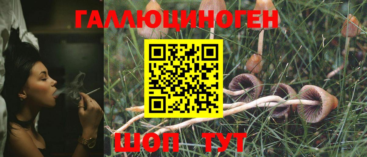 Галлюциногенные грибы ЛСД  Псилоцибиновые грибы Magic Shrooms  Волгодонск  Вход с VPN 