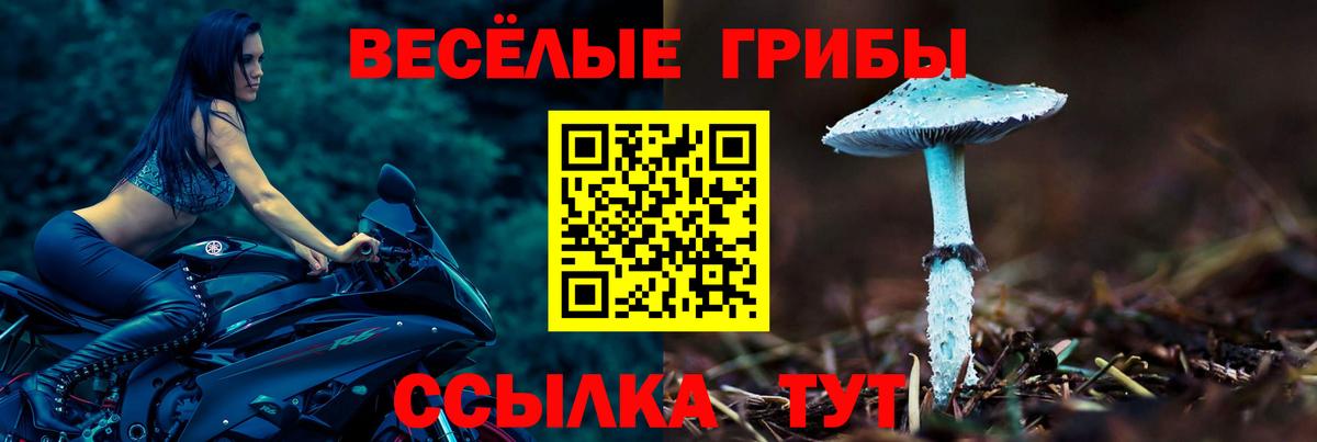 Галлюциногенные грибы Magic Shrooms Волгодонск